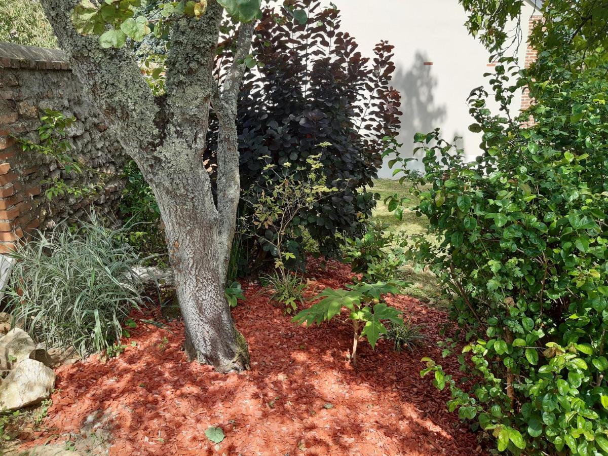Tuilerie De La Cote 4* Aparthotel Ouzouer-Sur-Trezee Exteriör bild